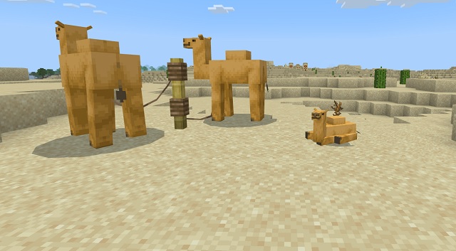 Minecraft Camels Breeding Instructions