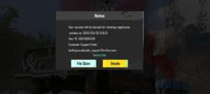 Read more about the article How To Fix PUBG 2.6 Offline Ban C4S12