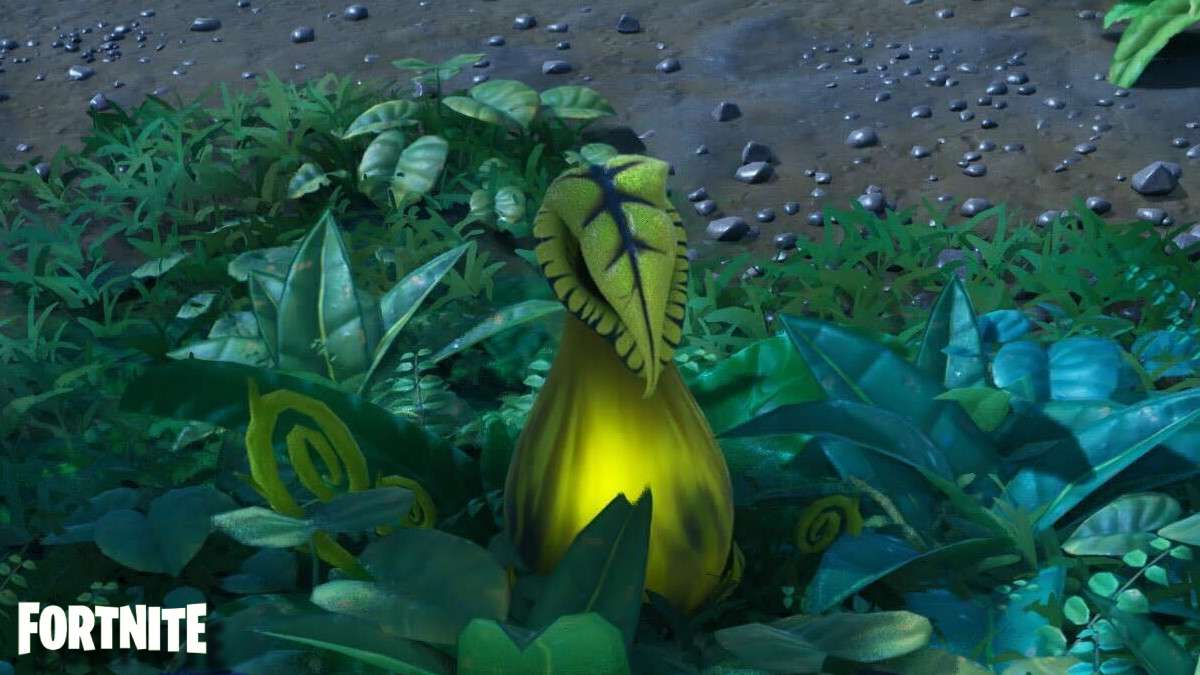 You are currently viewing How To Use Fortnite Pod Plants