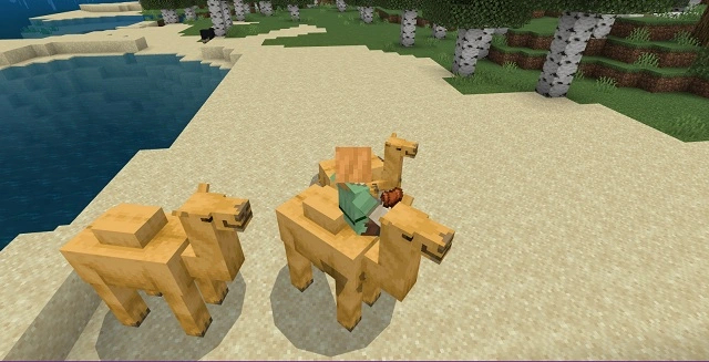 Minecraft Camels Training Guide