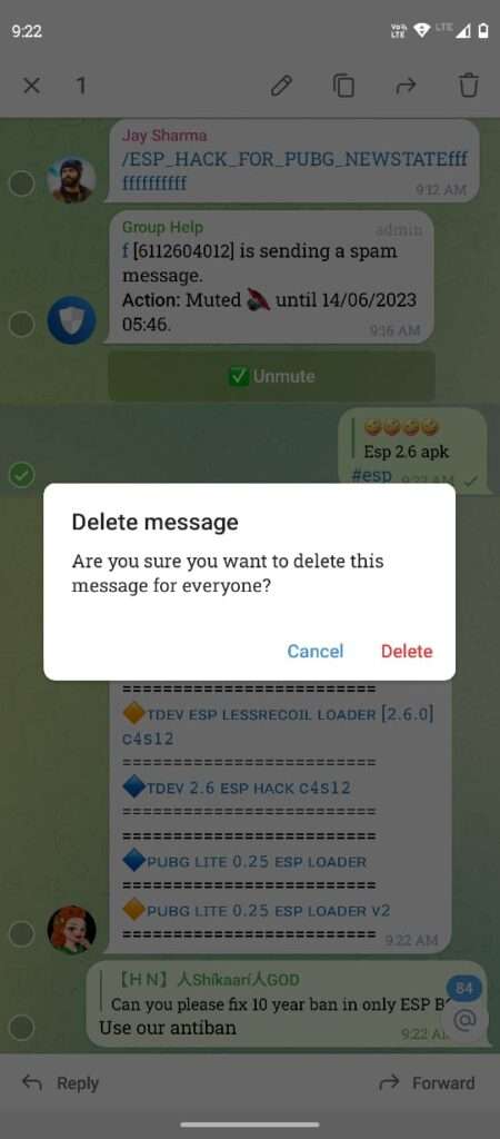 Can i see Deleted Messages on Telegram