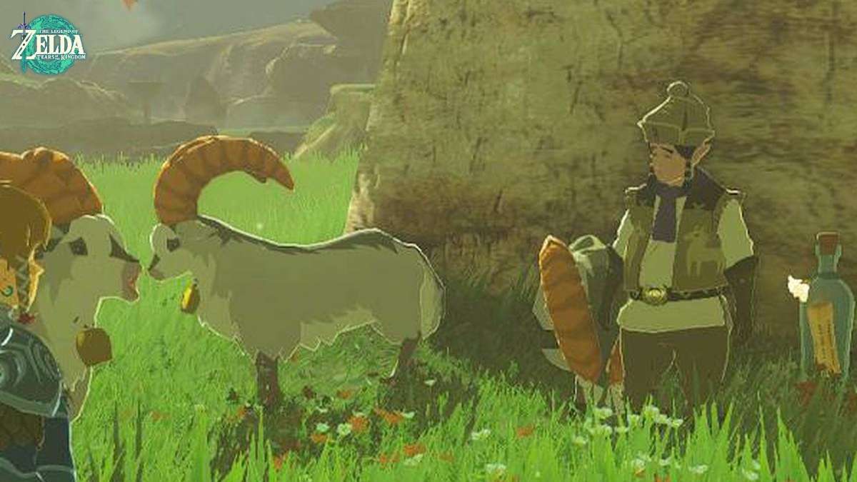 Read more about the article White Goats Gone Missing Quest In Tears Of The Kingdom
