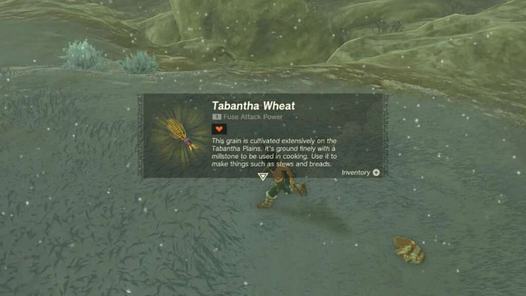 In Tears of the Kingdom, where Can I Buy Tabantha Wheat?