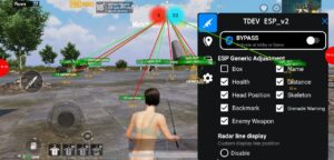Read more about the article PUBG 2.7 ESP+Injector Loader Hack Download C5S13