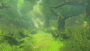 Read more about the article How To Get In To Korok Forest In Tears Of The Kingdom