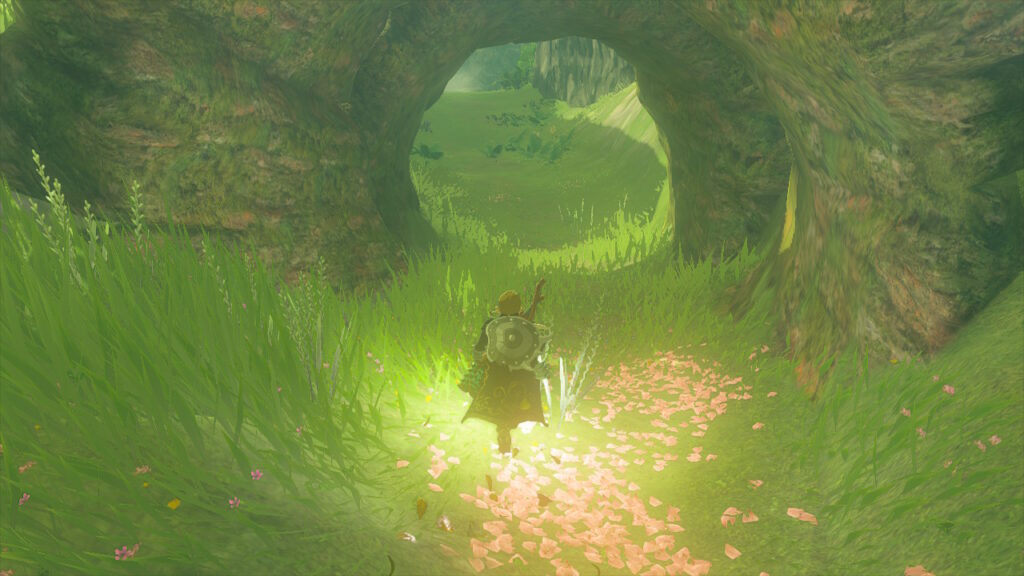 How To Get In To Korok Forest In Tears Of The Kingdom