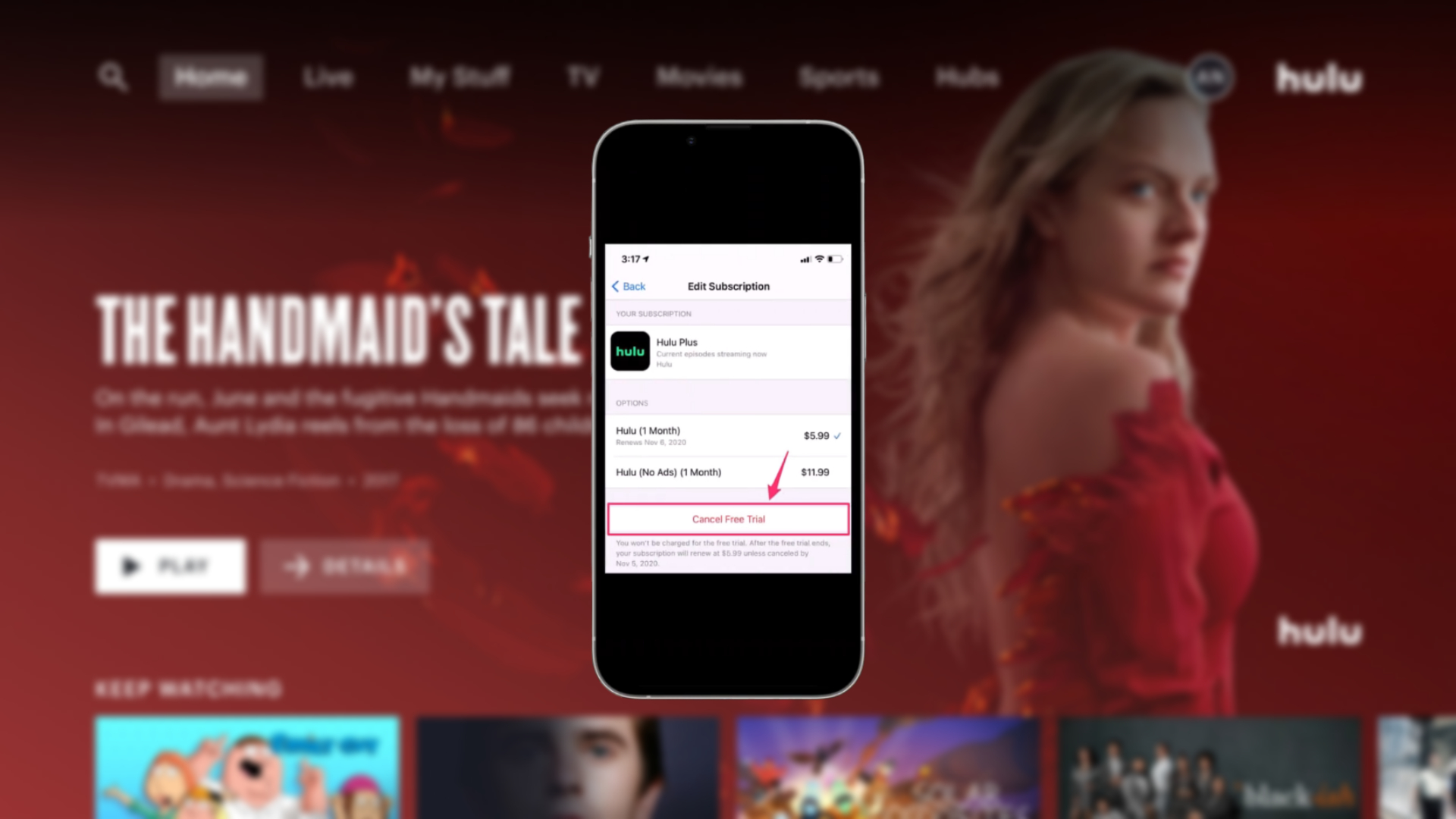 Read more about the article How To Cancel Hulu Subscription On Iphone