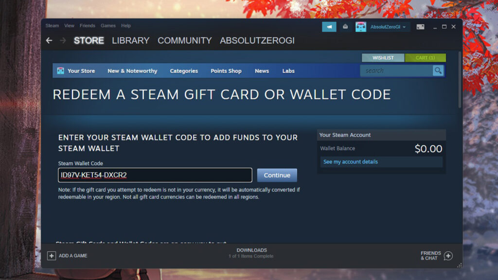 Give a Steam wallet code so they can buy games