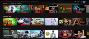 Read more about the article StreamFlix Mod Apk No Login 2024
