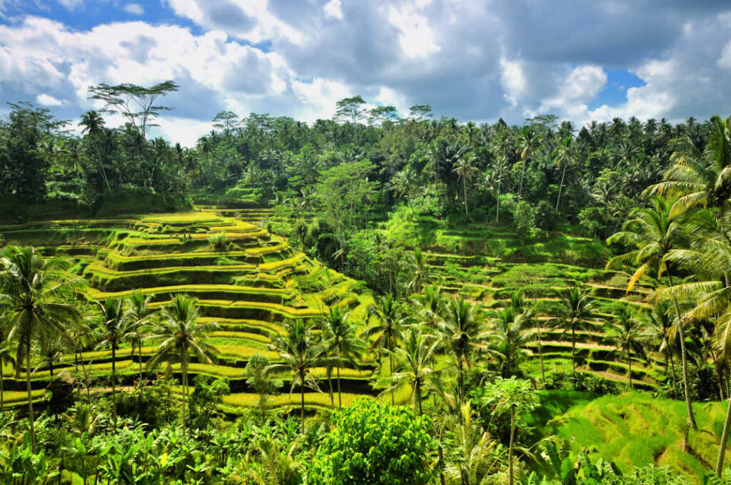 10 Best Places to visit in Bali for a Perfect Vacation
